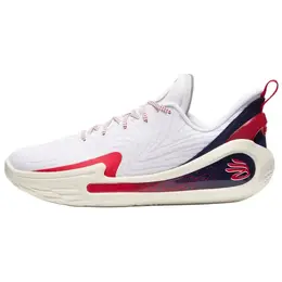 Кроссовки Under Armour Curry 12 Podium White, белый 6000198-100 | white