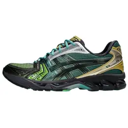 Кроссовки Asics Gel-Kayano 14 P. Andrade Gradation Green, черный/зеленый 1203a639-300 | black/green