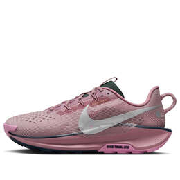 Кроссовки pegasus trail 5 'plum dust pink metallic silver' Nike, мультиколор dv3865-500 | plum dust/platinum violet/beyond pink/metallic silver