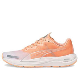 Кроссовки velocity nitro 2 wildwash 'fizzy melon' Puma, оранжевый 376265-01 | orange/gray