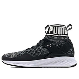Кроссовки ignite evoknit Puma, черный 189766-01 | black/white