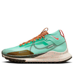 Кроссовки pegasus trail 4 gore-tex 'teal' Nike, мультиколор dj7929-301 | teal/brown