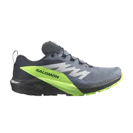 Кроссовки Sense Ride 5 GORE-TEX Salomon, серый l47312800 | flint stone/black/green gecko