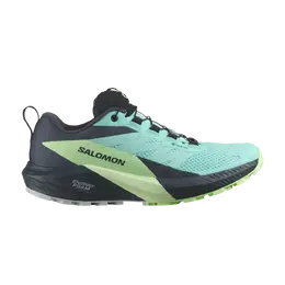 Кроссовки Wmns Sense Ride 5 GORE-TEX Salomon, синий l47216000 | blue radiance/green ash/india ink