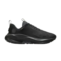 Nike Кроссовки Wmns ReactX Infinity Run 4 GORE-TEX, цвет Black Anthracite hq0264 001 | black anthracite