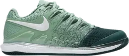 Кроссовки Nike Wmns Court Air Zoom Vapor X HC 'Healing Jade', зеленый aa8027 301 | green