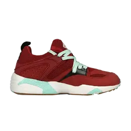 Кроссовки Packer Shoes x Sneaker Freaker x Blaze of Glory Puma, красный 361044 01 | rio red-beach glass-black-metallic gold