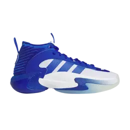 Adidas Кроссовки Wmns Exhibit Select Mid, цвет Royal Blue ig6625 | royal blue