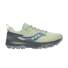 Saucony Кроссовки Wmns Peregrine 14 GORE-TEX, цвет Sage Carbon s10918 253 | sage carbon