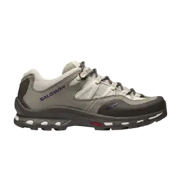 Кроссовки XT-Quest 2 Advanced Salomon, коричневый l41752400 | vintage khaki/major brown/crown jewel
