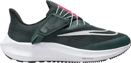 Nike Кроссовки Wmns Air Zoom Pegasus 39 FlyEase Wide 'Deep Jungle Metallic Silver', зеленый dj7384 300 | green