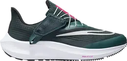 Nike Кроссовки Wmns Air Zoom Pegasus 39 FlyEase 'Deep Jungle Metallic Silver', зеленый dj7383 301 | green