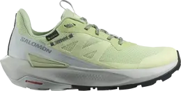 Salomon Кроссовки Wmns Elixir Activ GORE-TEX 'Celadon Green', зеленый l47456300 | green