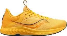 Кроссовки Saucony Wmns Freedom 5 Gold Basin, желтый s10726 31 | yellow