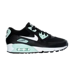 Кроссовки Nike Wmns Air Max 90 'Black Igloo', черный 325213 056 | black