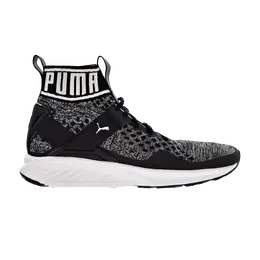 Кроссовки Ignite evoKnit Puma, черный 189697 01 | puma black/quiet shade/puma white