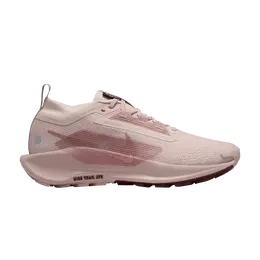 Кроссовки Nike Wmns Pegasus Trail 5 GORE-TEX Pink Oxford, розовый fq0912 601 | pink oxford