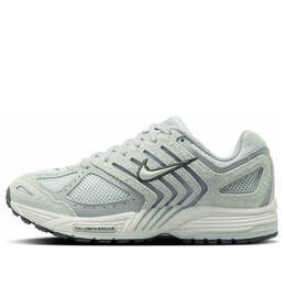 Кроссовки air pegasus 2005 'wolf grey pure platinum' Nike, мультиколор hj5271-001 | pure platinum/platinum