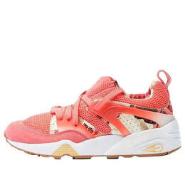 Кроссовки god x careaux craphic rose pink Puma, розовый 361525-01 | pink