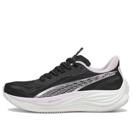 Кроссовки velocity nitro 3 'black silver grape mist' Puma, черный 377749-02 | black/white/purple