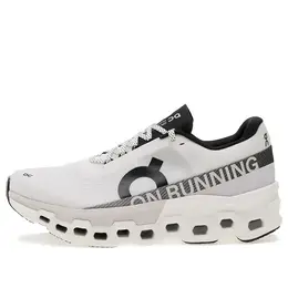 Кроссовки cloudmonster 2 'white frost' On Running, белый 3we10110664 | white/grey