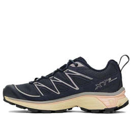 Кроссовки xt-6 expanse 'dark sapphire' 471341 Salomon, мультиколор 471341 / l47134100 | dark sapphire/beige