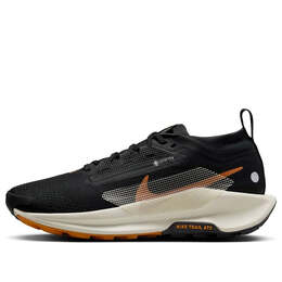 Кроссовки pegasus trail 5 gore-tex 'black ivory monarch' Nike, черный fq0912-005 | black/ivory/monarch