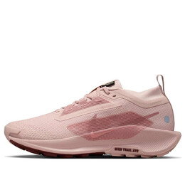 Кроссовки pegasus trail 5 gore-tex 'pink oxford' Nike, розовый fq0912-601 | pink oxford/red sepia/red stardust