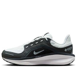 Кроссовки air zoom winflo 11 gore-tex 'anthracite metallic silver' Nike, мультиколор fq1359-004 | anthracite/metallic silver