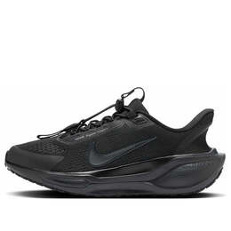 Кроссовки pegasus easyon 'black anthracite' Nike, черный fq7844-001 | black/anthracite