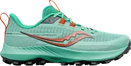 Кроссовки Saucony Wmns Peregrine 13 Sprig Canopy, синий s10838 25 | blue