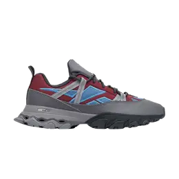 Кроссовки DMX Trail Shadow Reebok, серый ie2154 | burgundy/steel blue/cloud grey