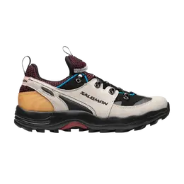 Кроссовки Raid Wind Advanced Salomon, серый l41577000 | lunar rock/wine tasting/blue aster