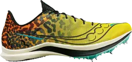 Кроссовки Saucony Wmns Endorphin Cheetah, черный s19095 85 | black