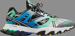 Кроссовки dmx trail shadow 'gradient pack - bottle green' Reebok, серый 000485 | grey