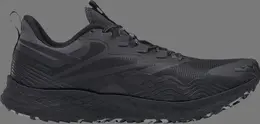 Кроссовки floatride energy 4 adventure 'black pure grey' Reebok, черный 000707 | black