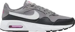 Кроссовки Nike Wmns Air Max SC 'Flat Pewter', серый cw4554 005 | grey