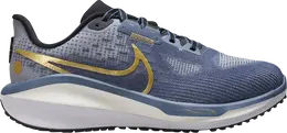 Nike Кроссовки Wmns Air Zoom Vomero 17 Wide 'Diffused Blue Metallic Gold', синий fn7998 400 | blue