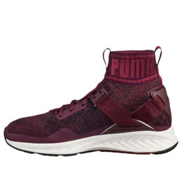 Кроссовки ignite evoknit 'dark red cmft' Puma, красный 189766-03 | red/white