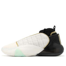 Кроссовки harden vol. 7 'year of the dragon' Adidas, мультиколор ih7516 | off/white/black/metallic gold