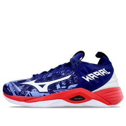 Кроссовки wave momentum 2 blue/red Mizuno, белый v1ga191164 | white/blue/red