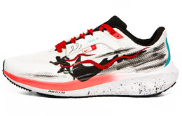 Кроссовки Nike Air Zoom Pegasus 40 мужские, White fz5055-101（team63-赛跑sbox） | white