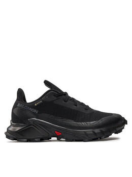 Беговые кроссовки Salomon Alphacross 5 Gore-Tex L47310900, черный 0000303486969 | negro