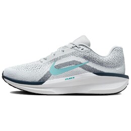 Кроссовки Winflo 11 мужские низкие серый Nike fj9509-004 | gray