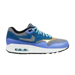 Кроссовки Nike Wmns Air Max 1 SE 'Polar', разноцветный 881101 001 | multi-color