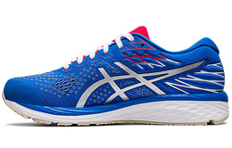 Кроссовки Asics Gel-Cumulus 21 Мужчины 1011a787-400