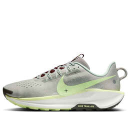 Кроссовки pegasus trail 5 Nike, серебряный dv3864-004 | silver