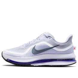 Кроссовки pegasus premium Nike, серый hq2592-004 | grey
