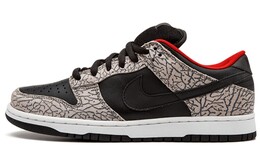 Мужские кроссовки для скейтбординга Nike Dunk SB Low 304292-131