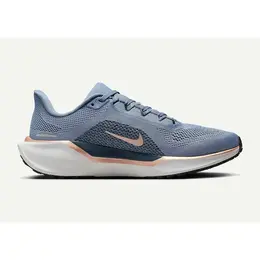 Кроссовки Nike Air Zoom Pegasus, полнота D, размер RU 39.5 EU 40.5 USw 9 СМ 25, серый 103792126445